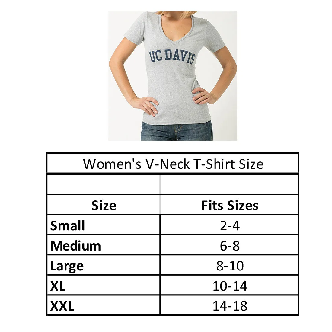 Elmira College Soaring Eagles Womens Cinder T-Shirt Tee