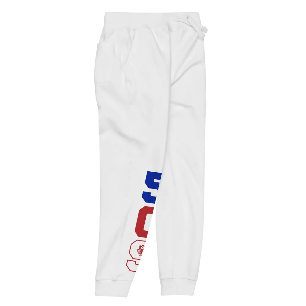 LOCAL - Area Code 509 Haiti Unisex Premium Joggers
