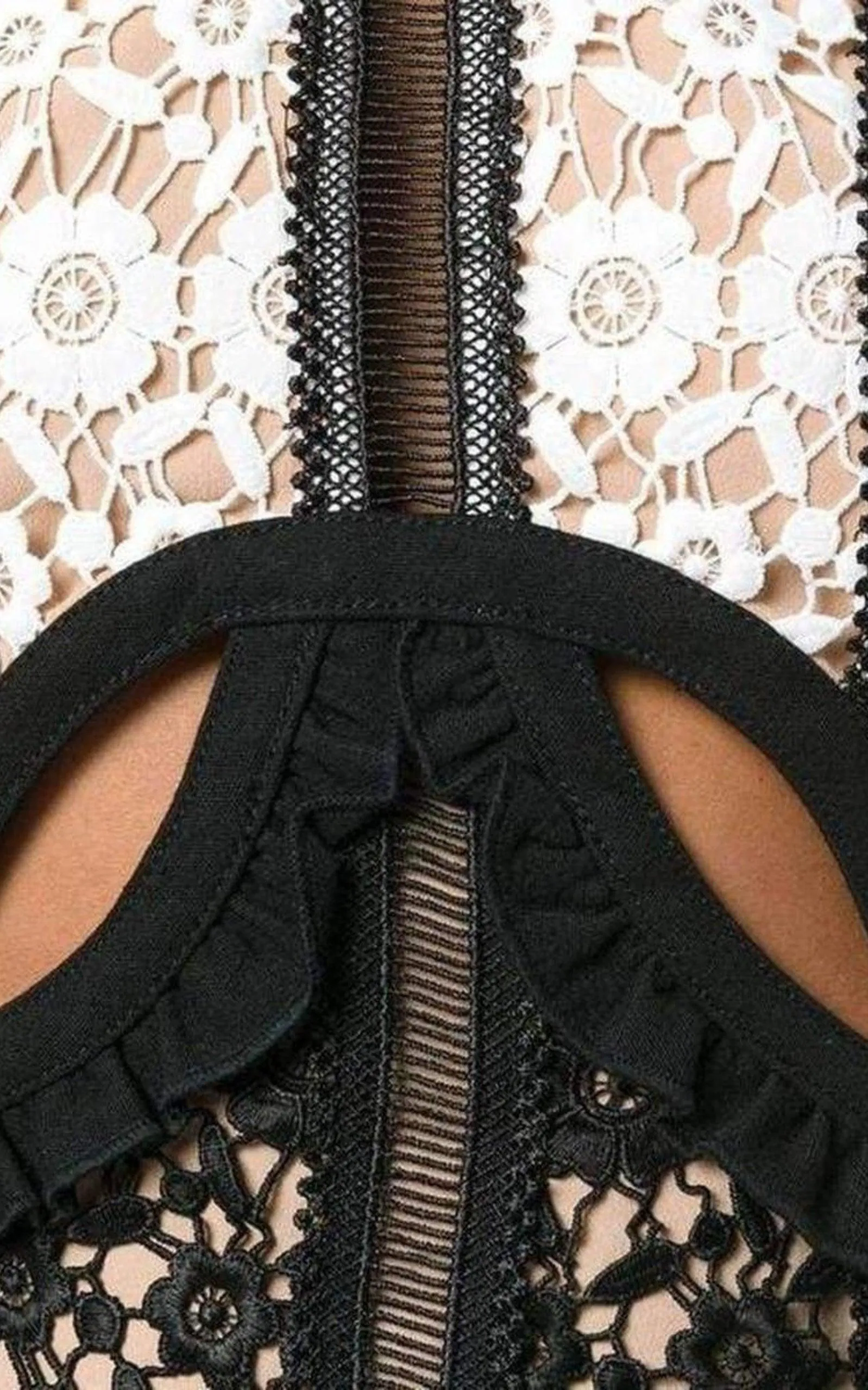 Payne Lace Cut-out Mini Dress